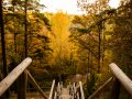 Latvijas valsts mežu dabas parks Tērvetē