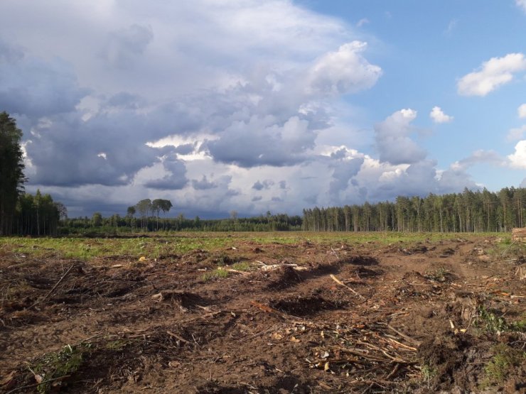 2024 20240618 190116 jpg 1722109016 fit 1024 768