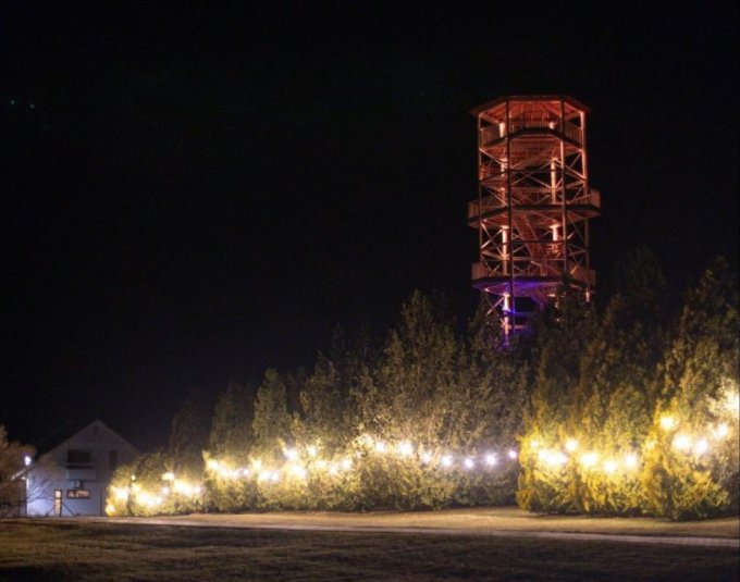 kalsnavas arboretums