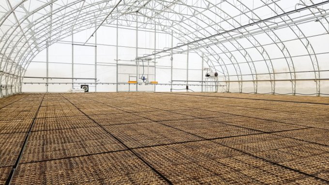 kokaudzetava stadi siltumnica