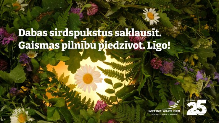 lvm kartina ligo 2024 jpg 1722109029 fit 1024 768