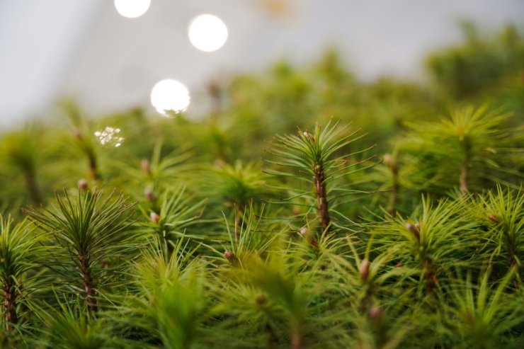 mezkopiba dsc09348 edited jpg 1722109016 fit 1024 768