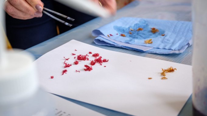 pedagogi fizikas un kimijas ekspermentos2