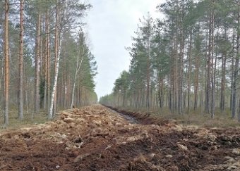 uz balkiem buvets autocels viesite2