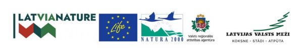 logo rinda