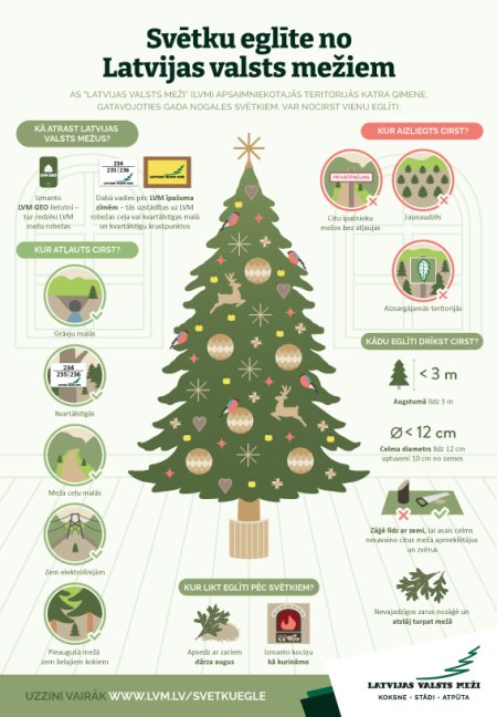 2024 eglite ziemassvetkiem