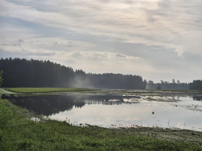 pludi kokaudzetava madona