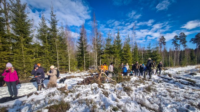 pargaj jmp 23.02.25. 38