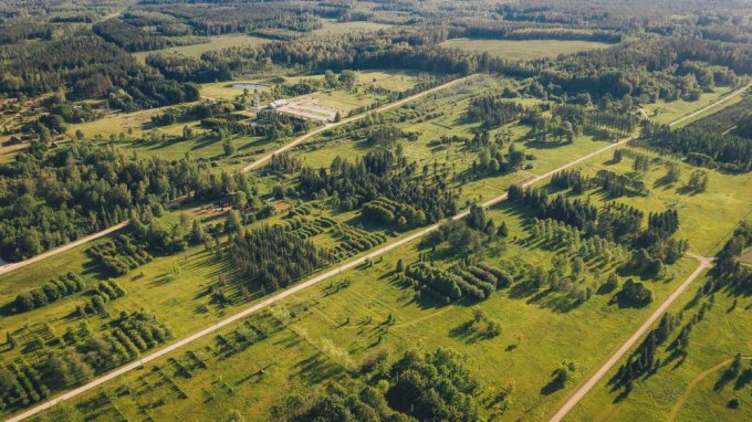 arboretums drons copy