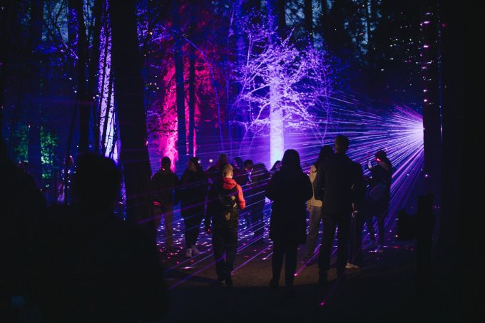 Violetās gaismās izgaismota taka Latvijas valsts mežu dabas parkā Tērvetē vēlā vakara stundā ar apmeklētājiem