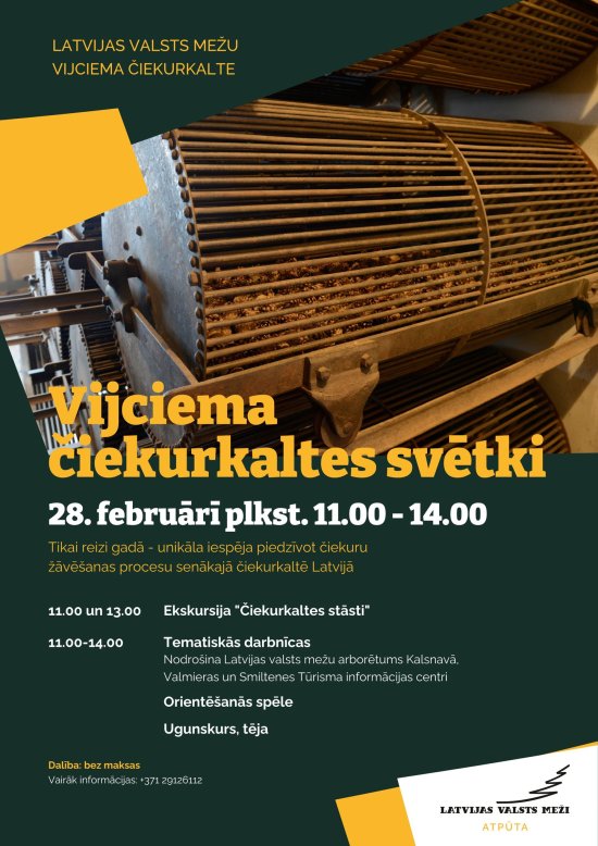 Latvijsa valsts mežu Vijciema čiekurkaltes 2026. gada svētku plakāts ar norisēm un laikiem