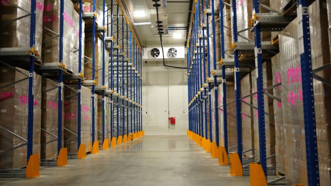 Stādu saldētavas telpa ar sastatnēm un sakrautām stādu kastēm