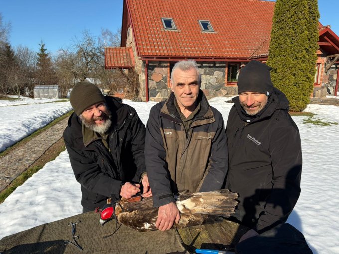 LVM vides eksperts kopā ar diviem kolēģiem no Igaunijas tur ērgli uz līdzenas virsmas, lai uzstādītu raidītāju