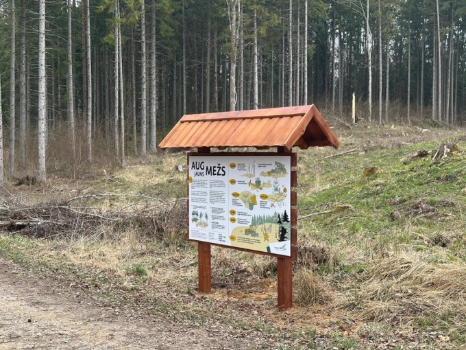 plansete pokainu
