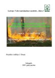 Meža ugunsgrēka radīto zaudējumu aprēķināšanas metodika saskaņā ar LR normatīvo aktu prasībām