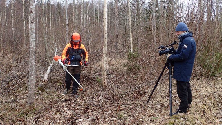 Absay Messenger Back, back, back (part Latvijas valsts meži - Tapusi mācību filma par jaunaudžu kopšanu Absay Messenger Back, back, back (part Latvijas valsts meži - Tapusi mācību filma par jaunaudžu kopšanu
