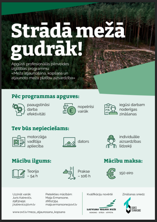 strada meza gudrak