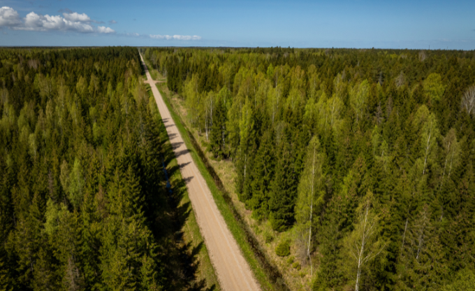 Drona skats uz mežu pavasarī, pa vidu ceļš