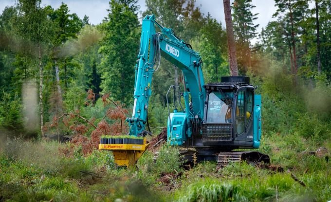 Ar īpašu stādāmo galvu aprīkots traktors mašinizēti stāda mežu