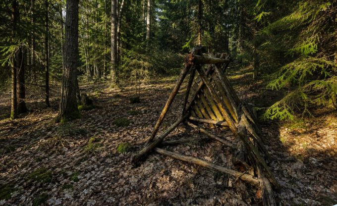 Egļu audzē uz zemes sagāzusies koka konstrukcija, kas izmantota medībām
