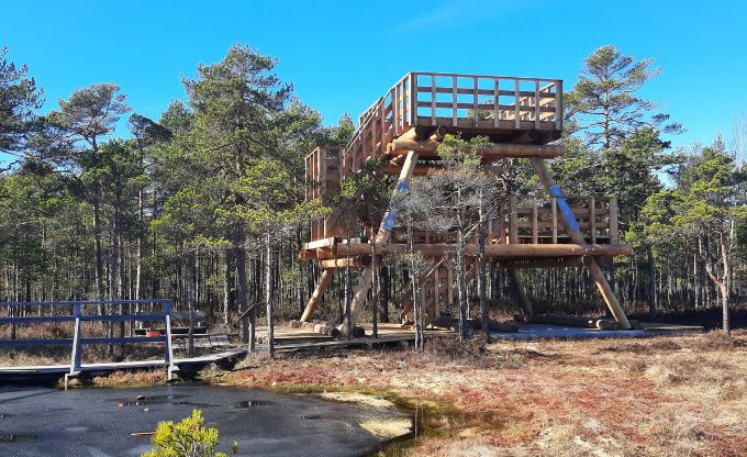 Sešus metrus augsta koka skatu platforma Niedrāju-Pilkas purvā