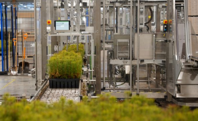 realizets stadu apjoms