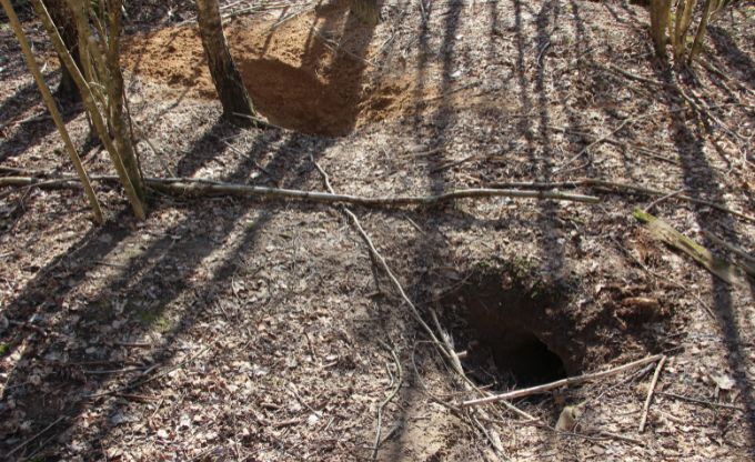 Paugurā izraktas bedres - ap&scaron;u alas