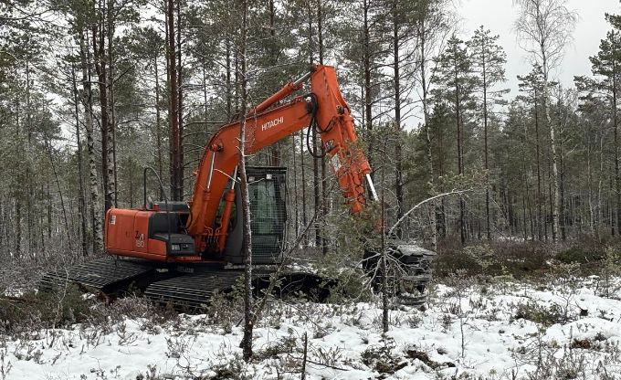 Ar kniebējgalvu un platām kāpurķēdēm aprīkots ekskavators izzāģē dabīgam purvam nerakturīgos kokus Pal&scaron;u purvā